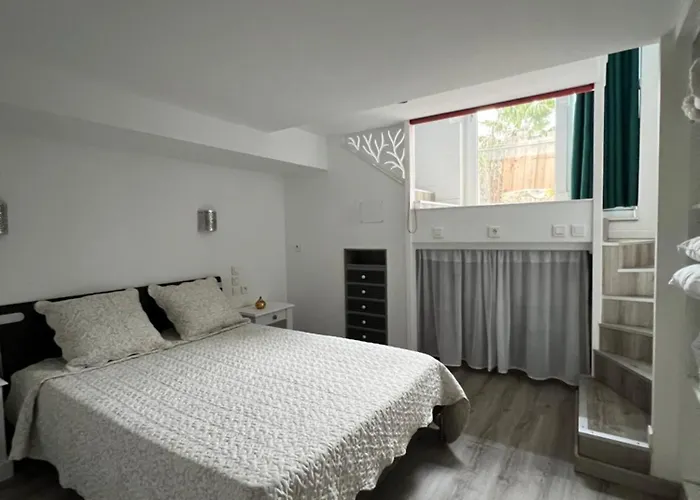 Rez-de-jardin Dans Maison Avec Piscine Villeneuve-Loubet