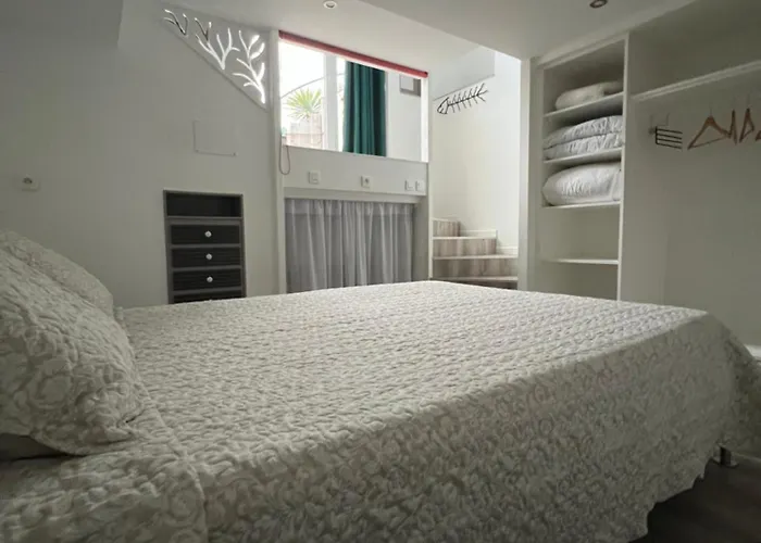 Rez-de-jardin Dans Maison Avec Piscine * Villeneuve-Loubet